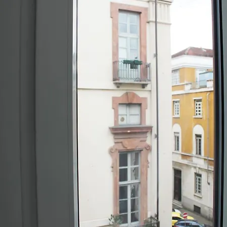 Rapanus Turin