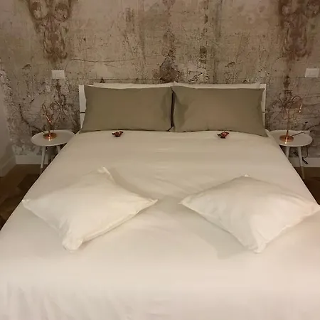 Rapanus تورينو