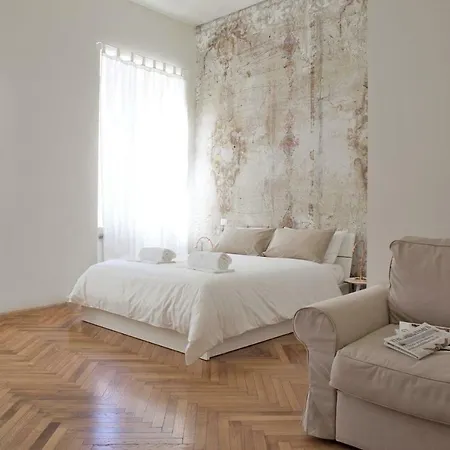 Rapanus * Turin