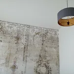 Rapanus *